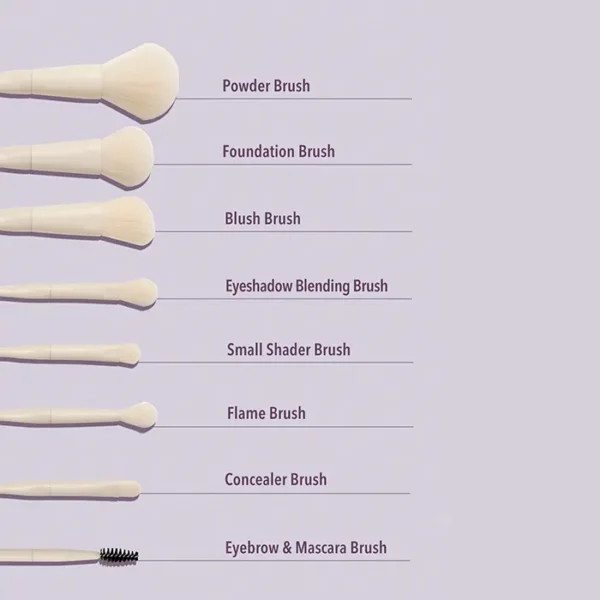 ست براش ۸ تیکه شیگلم مدل pro core brush kit